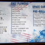 the-plug-coffee-shop-guia-tecnica-y-buenas-practicas